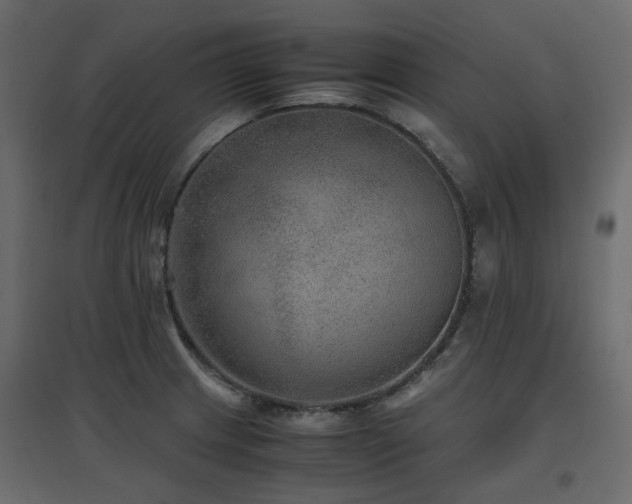 X0000097761233200803071247