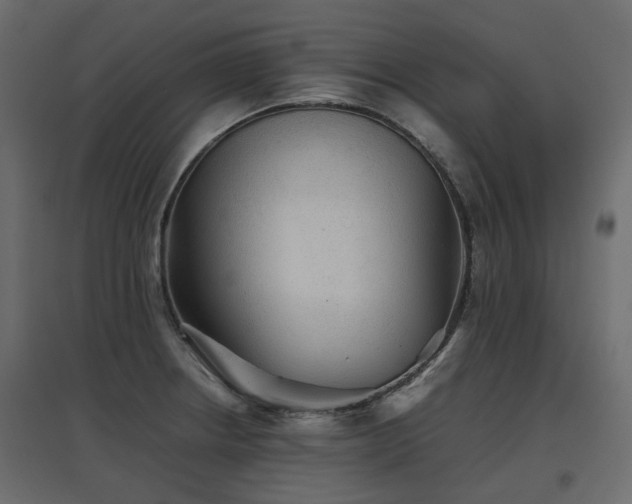 X0000097761234200803071247