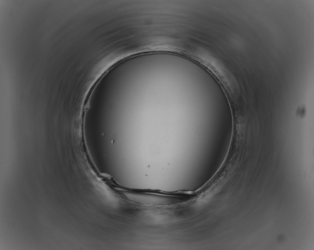 X0000097761236200803071247