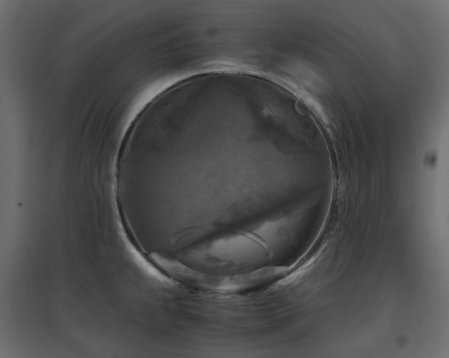 X0000097761239200803071247