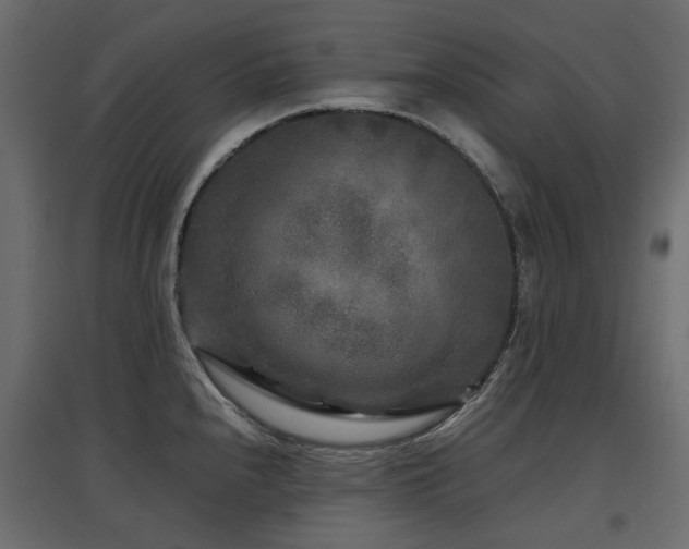X0000097761240200803071247