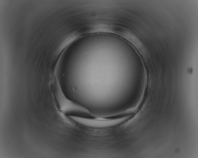 X0000097761241200803071248