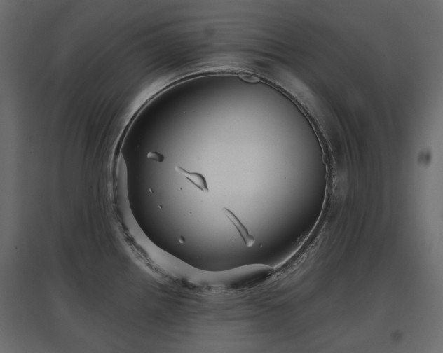X0000097761242200803071248