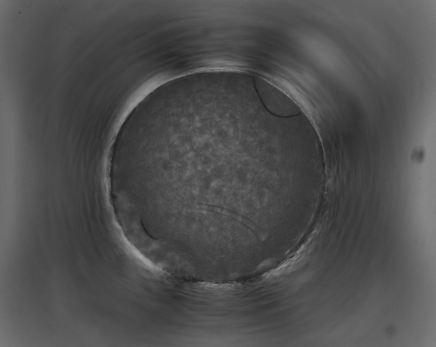 X0000097761243200803071248