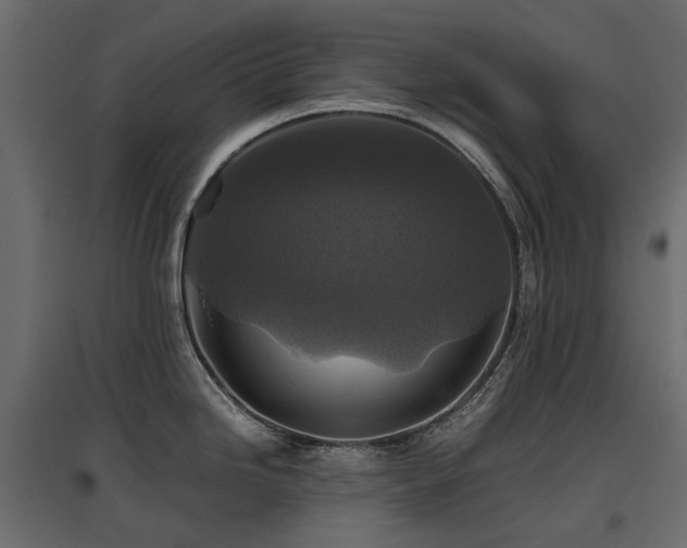 X0000097761246200803071248