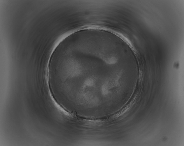 X0000097761247200803071248