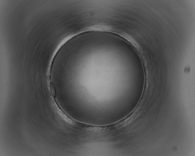 X0000097761248200803071248