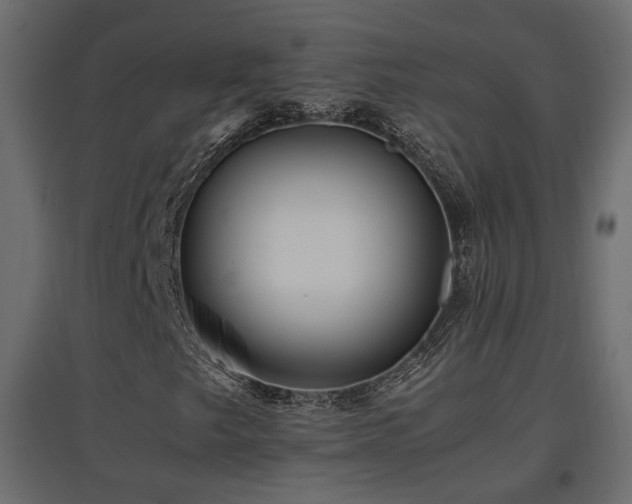 X0000097761249200803071247