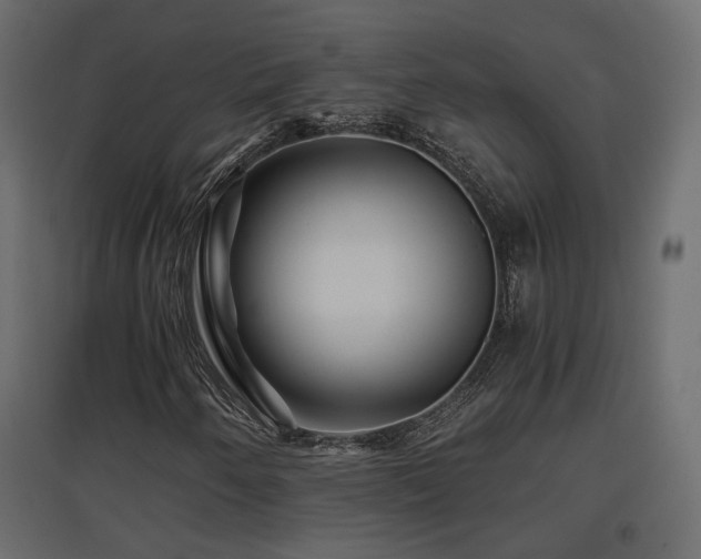 X0000097761250200803071247