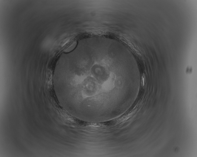 X0000097761251200803071247