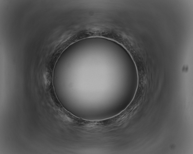 X0000097761253200803071247