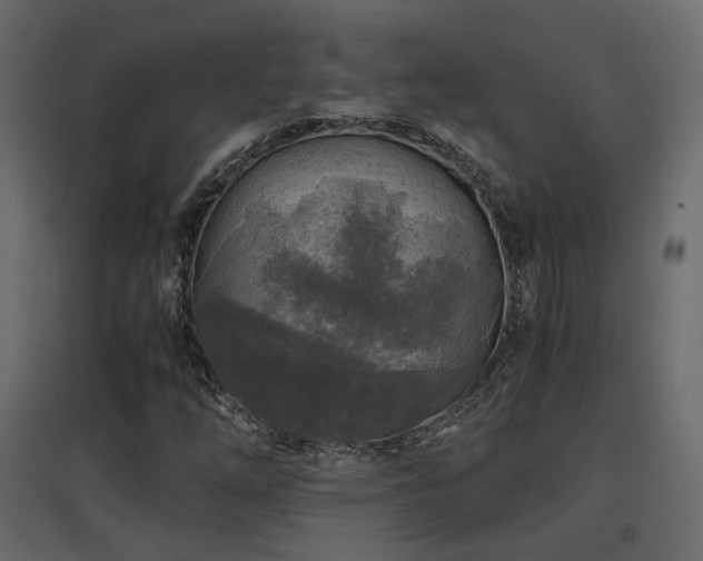 X0000097761254200803071247