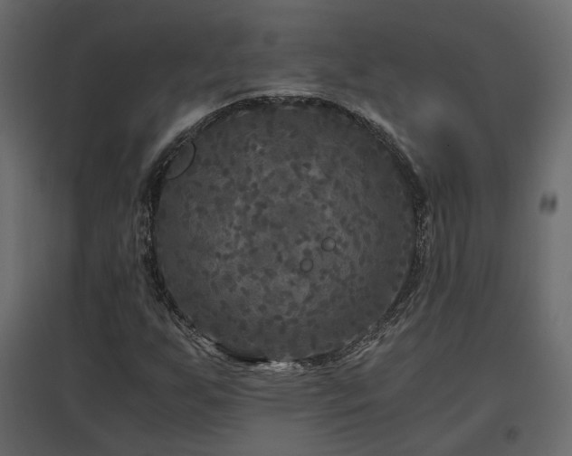 X0000097761255200803071247