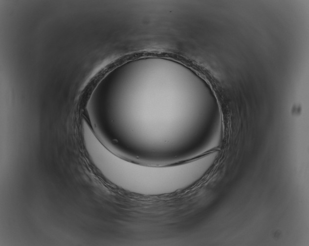 X0000097761256200803071247