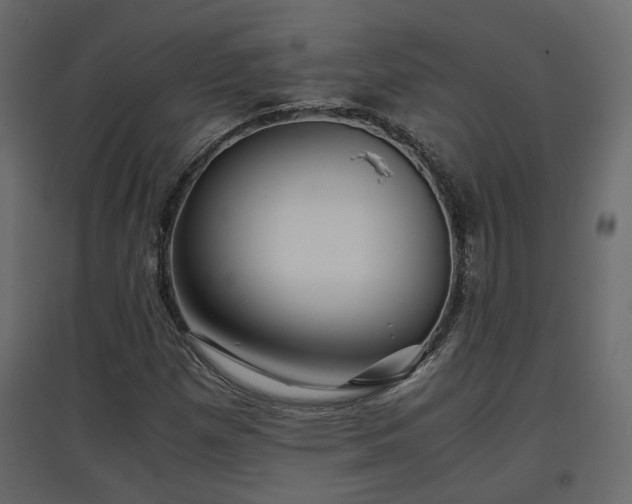 X0000097761257200803071247