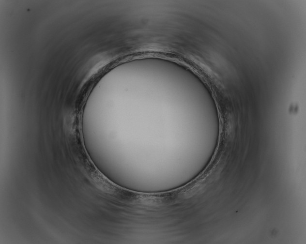 X0000097761258200803071247