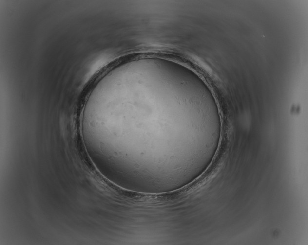 X0000097761259200803071247