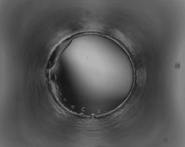 X0000097761260200803071247