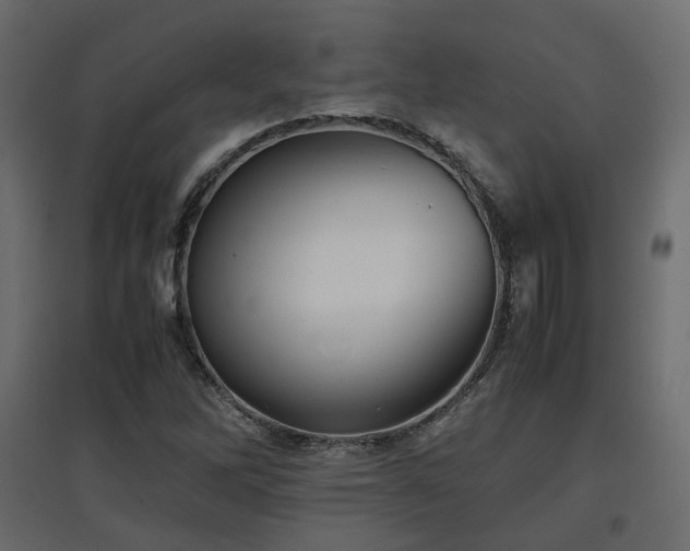 X0000097761262200803071247