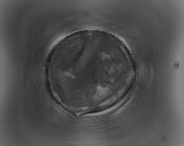 X0000097761263200803071247