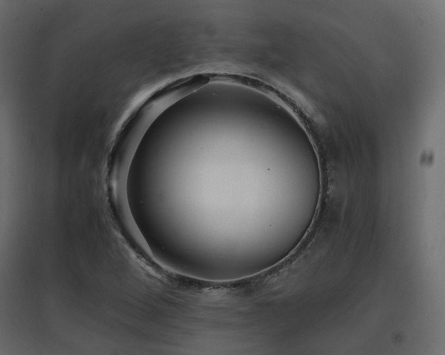 X0000097761264200803071247