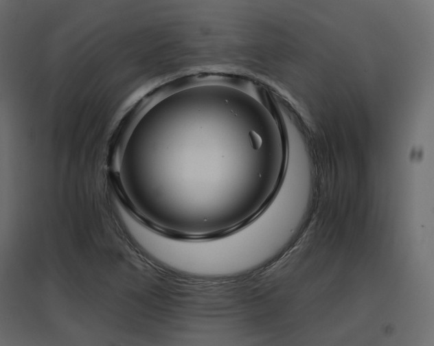 X0000097761266200803071247