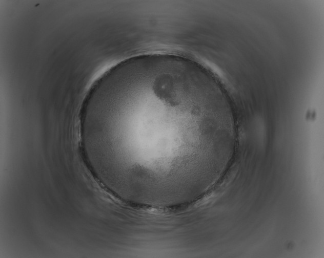 X0000097761267200803071247