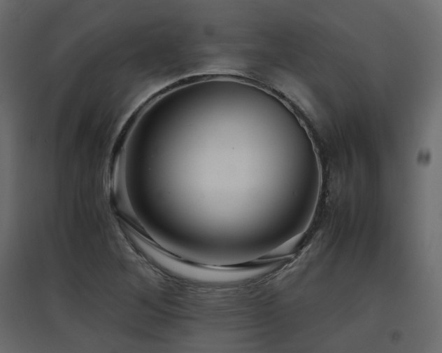 X0000097761268200803071247