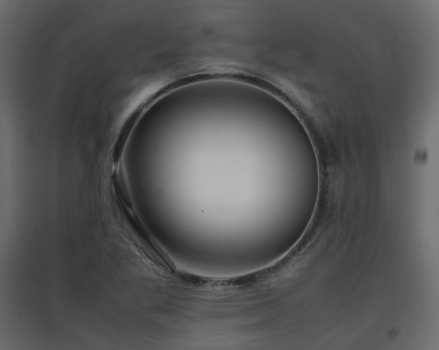 X0000097761269200803071247