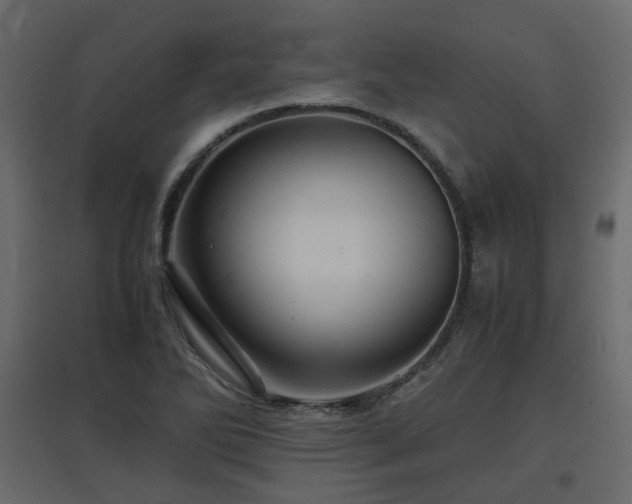 X0000097761270200803071247
