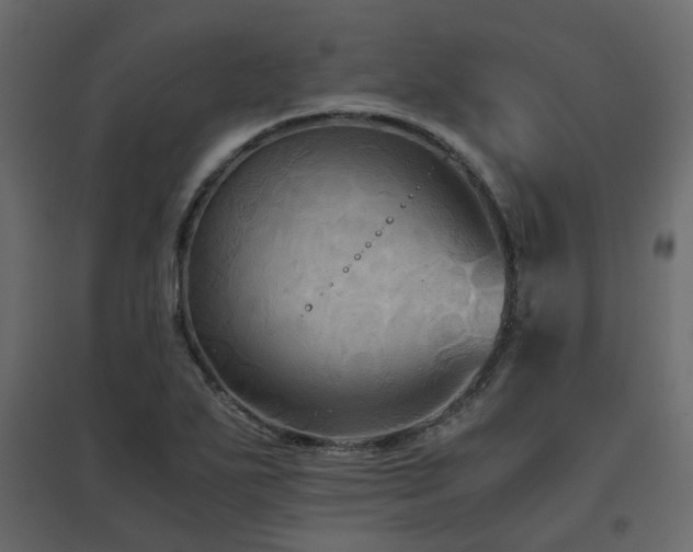 X0000097761271200803071247