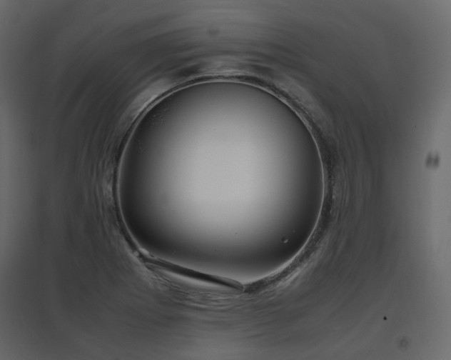 X0000097761273200803071247