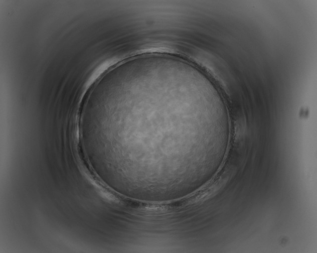 X0000097761274200803071247