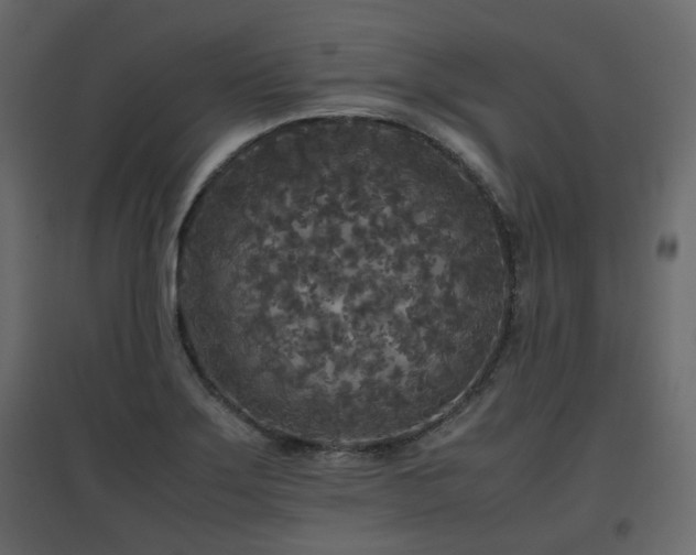 X0000097761275200803071246