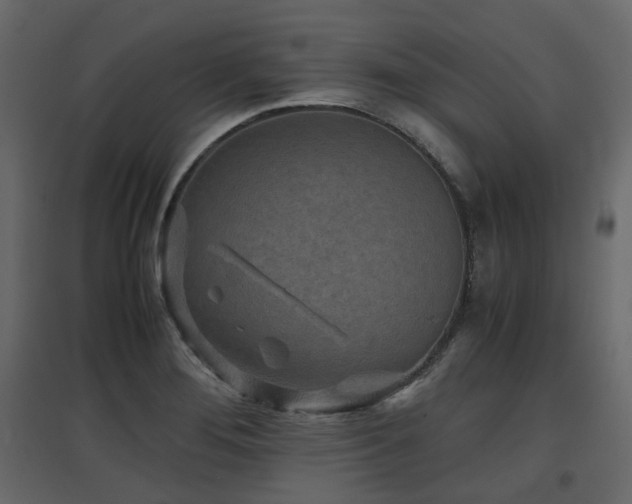 X0000097761276200803071246