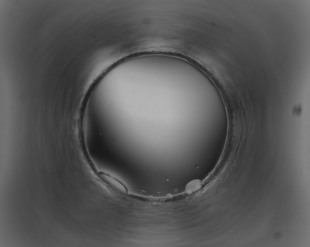 X0000097761277200803071246