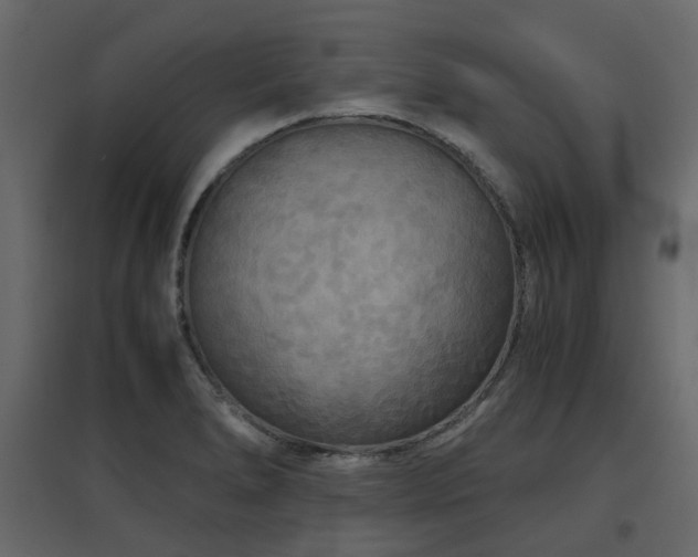 X0000097761278200803071246