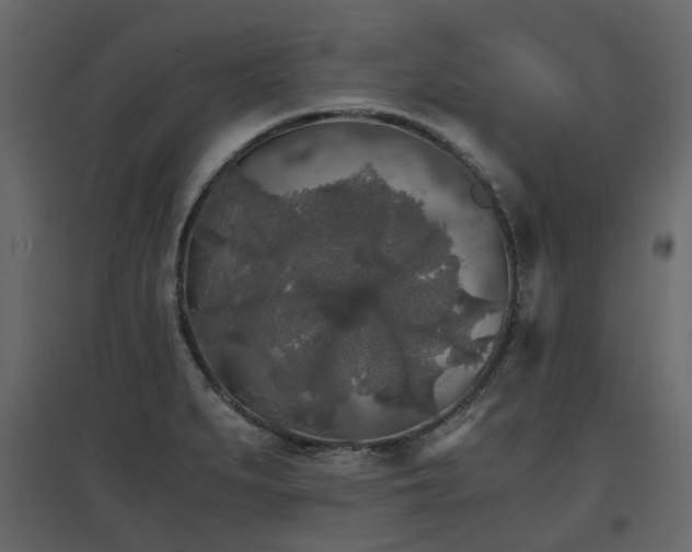 X0000097761279200803071246