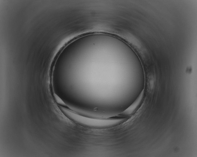 X0000097761280200803071246