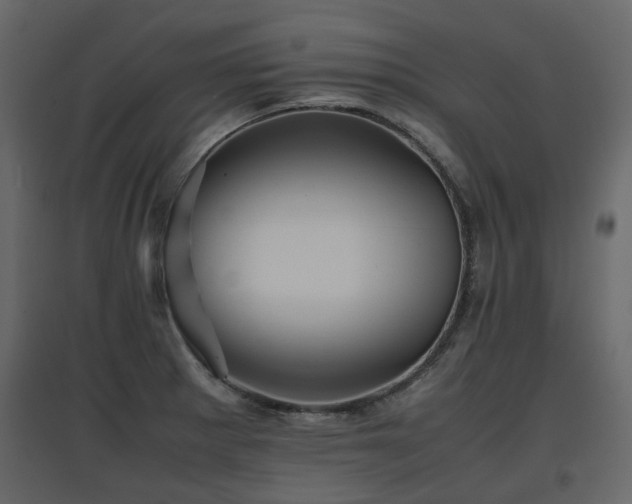 X0000097761281200803071246