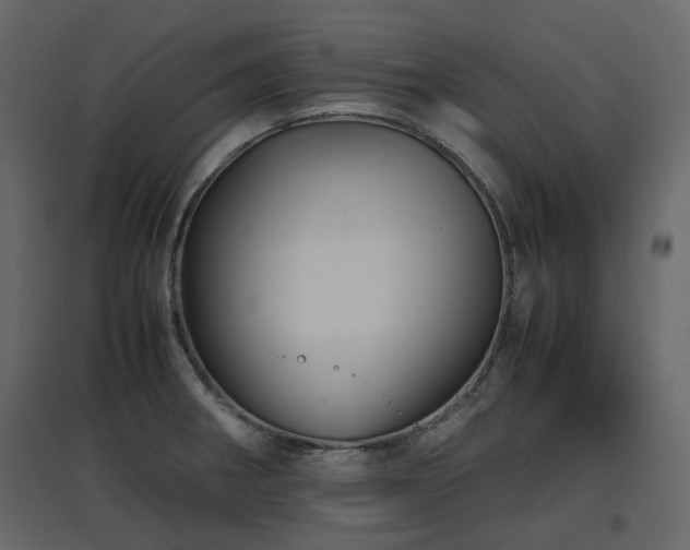 X0000097761282200803071246