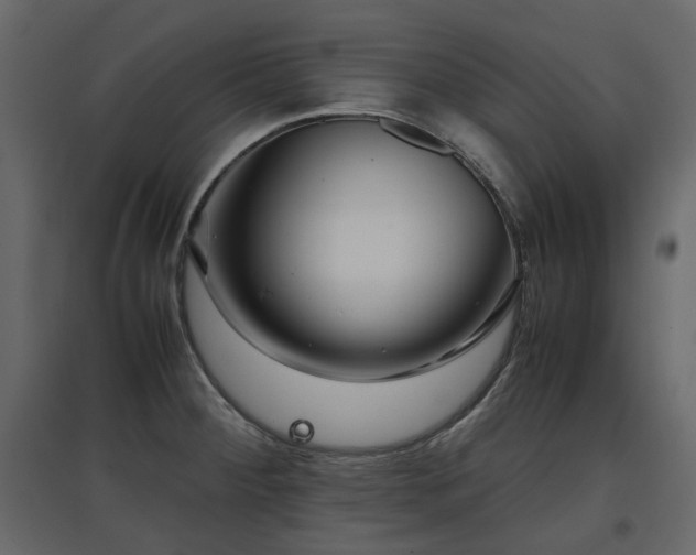 X0000097761284200803071246