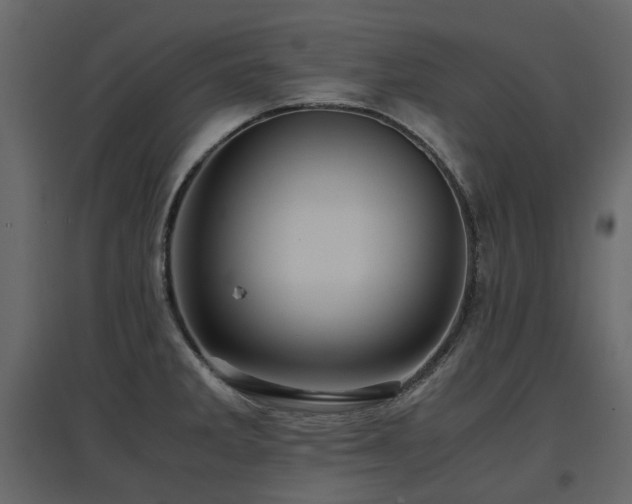 X0000097761285200803071246