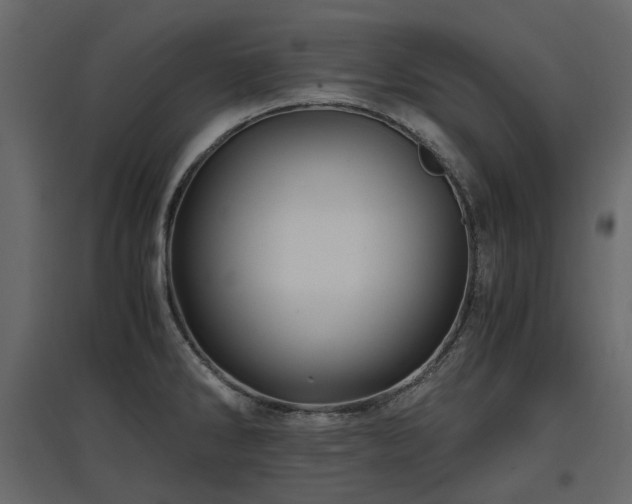 X0000097761286200803071246