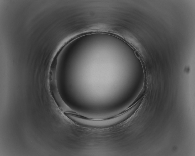 X0000097761288200803071246