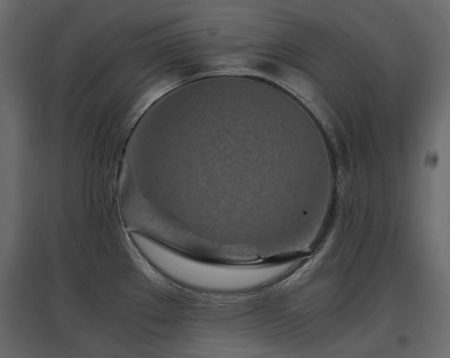 X0000097761289200803071246