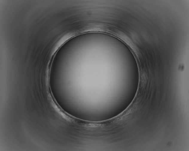 X0000097761290200803071246