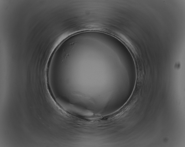 X0000097761291200803071246
