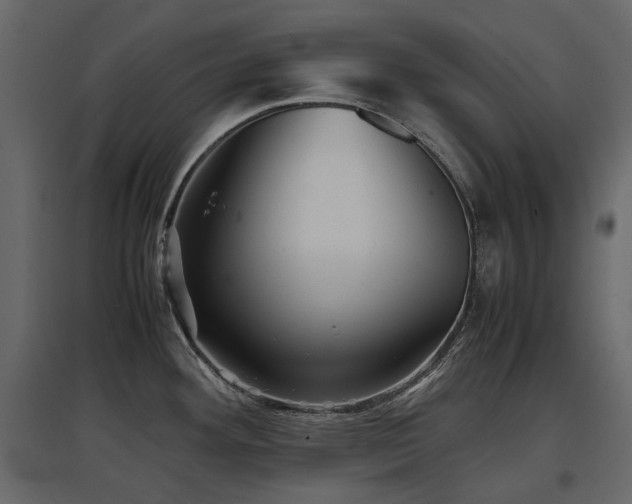 X0000097761292200803071246
