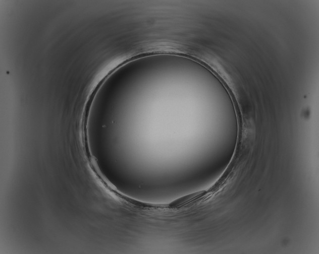 X0000097761293200803071246